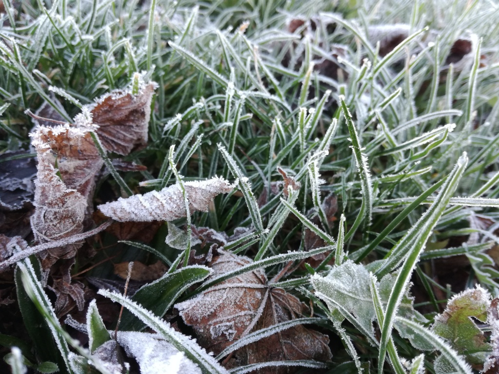 Středeční ranní teploty budou klesat k -2 °C