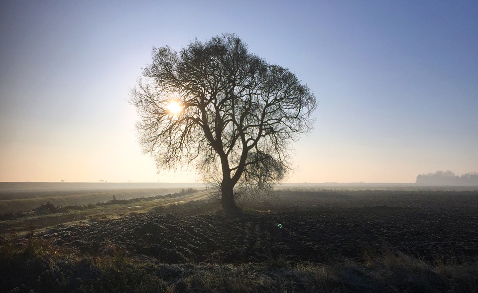 Úterní teploty se na Moravě vyšplhají na 16 °C, na západě bude chladněji