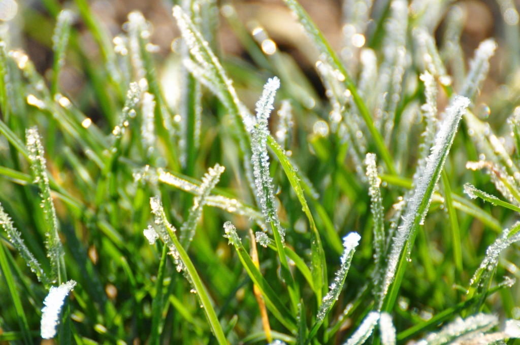 V úterý se vyjasní, teploty ale vystoupají jen k 13 °C