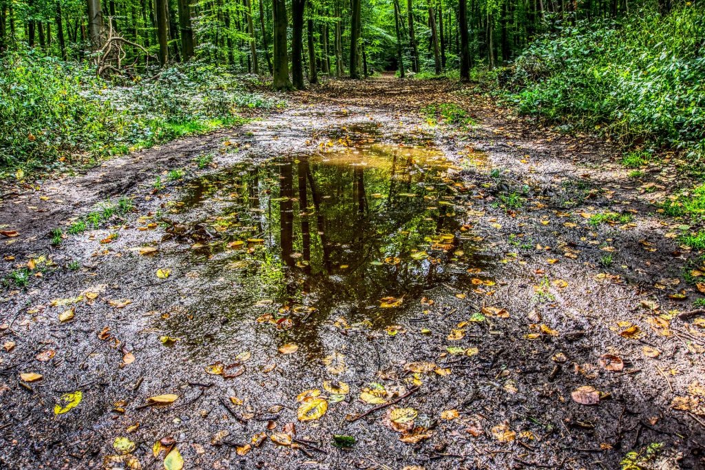 Ve čtvrtek se mírně ochladí a také zaprší