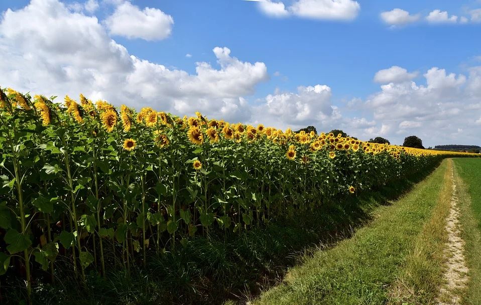 V úterý se teploty dostanou až nad letních 25 °C