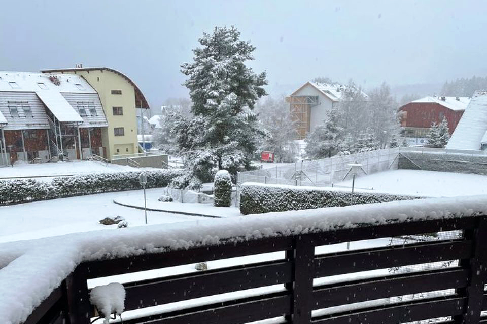Ve čtvrtek  již celodenní mráz na celém území