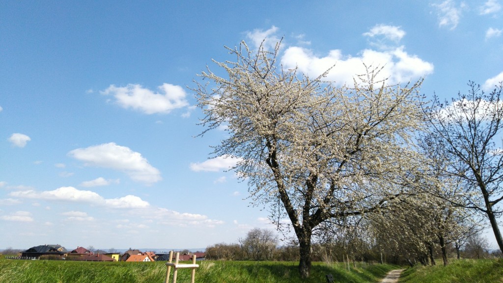 Sobota polojasná až oblačná, jen s mírným větrem
