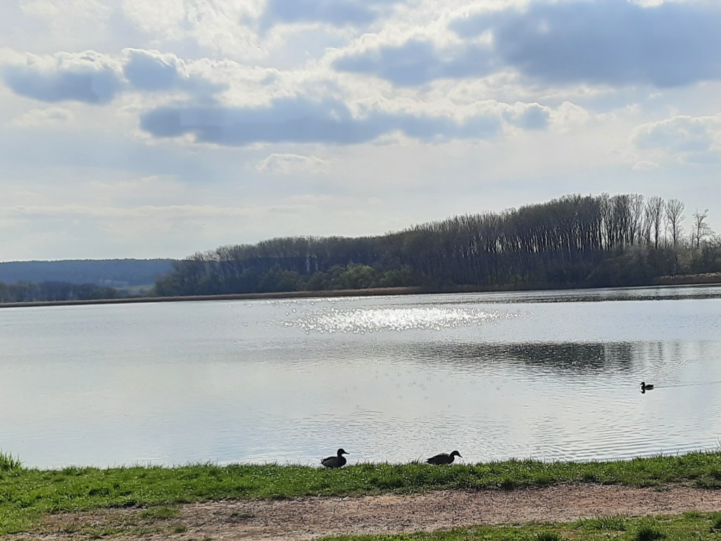 Neděle bude polojasná s občasnými přeháňkami