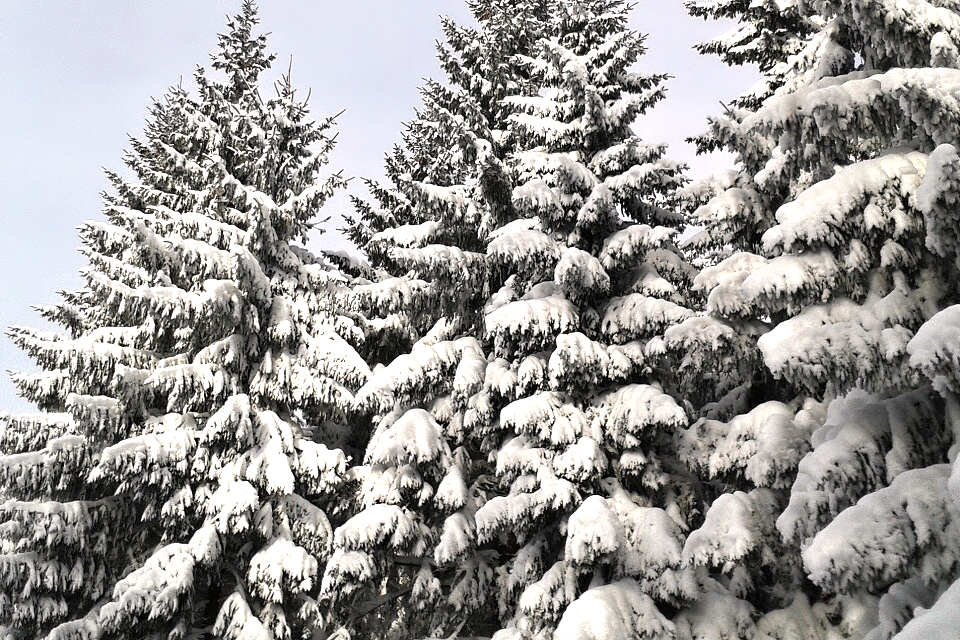 Alpy i Tatry zasypal sníh