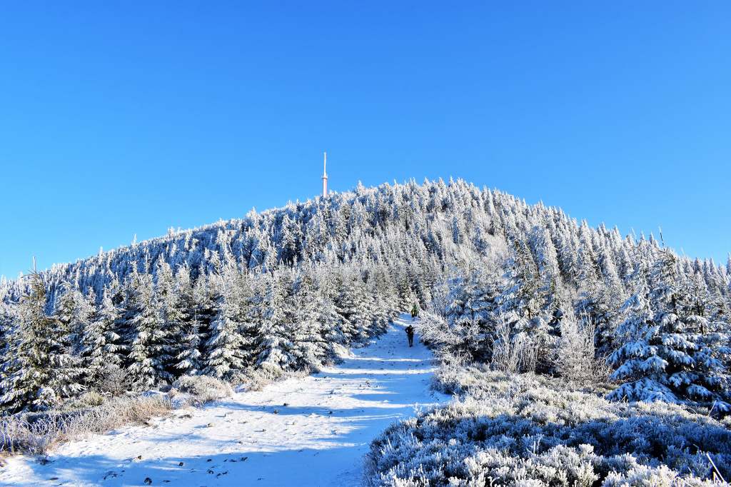 Sobota slunečná, teploty do 5 °C
