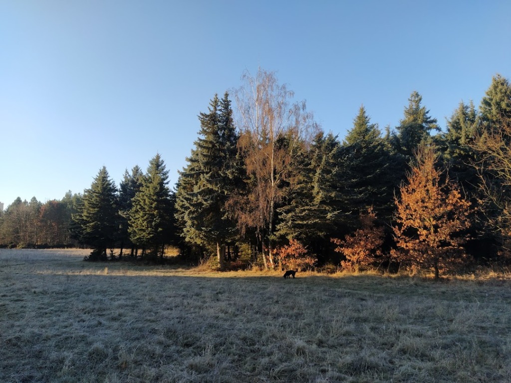 V pátek jasno, na západě zesílí vítr