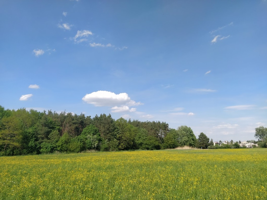 V sobotu čekáme většinou polojasno