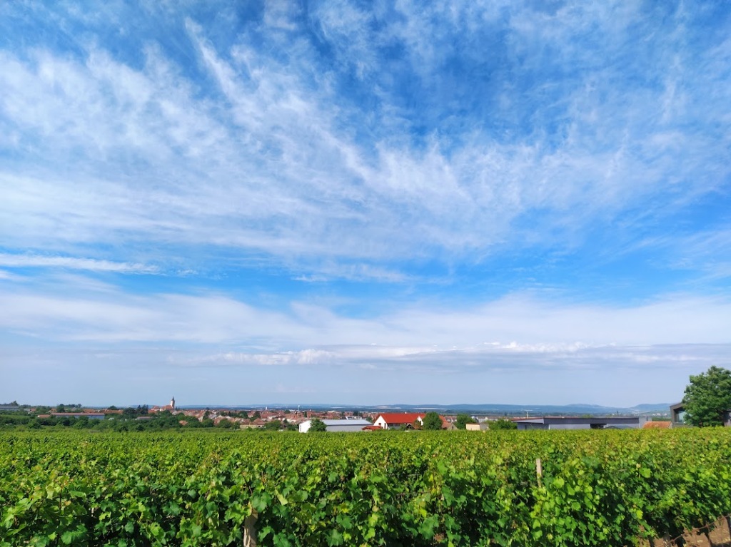 V pondělí přes 30 °C, večer od jihozápadu silné bouřky