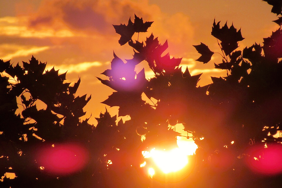 Na severozápadě USA i v Kanadě naměřili 40 °C