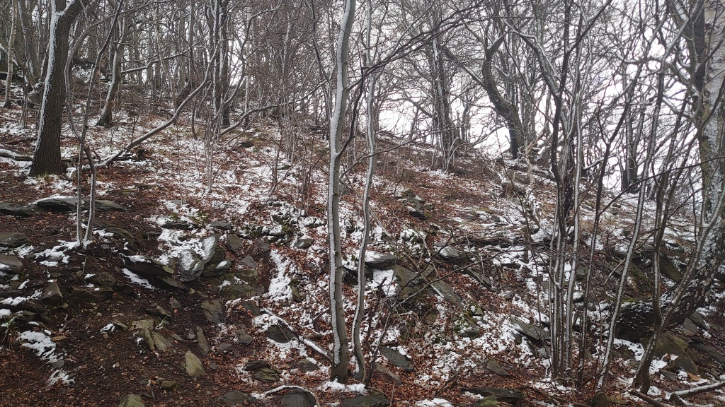 V sobotu od západu s deštěm, nad 600 metrů bude padat sníh