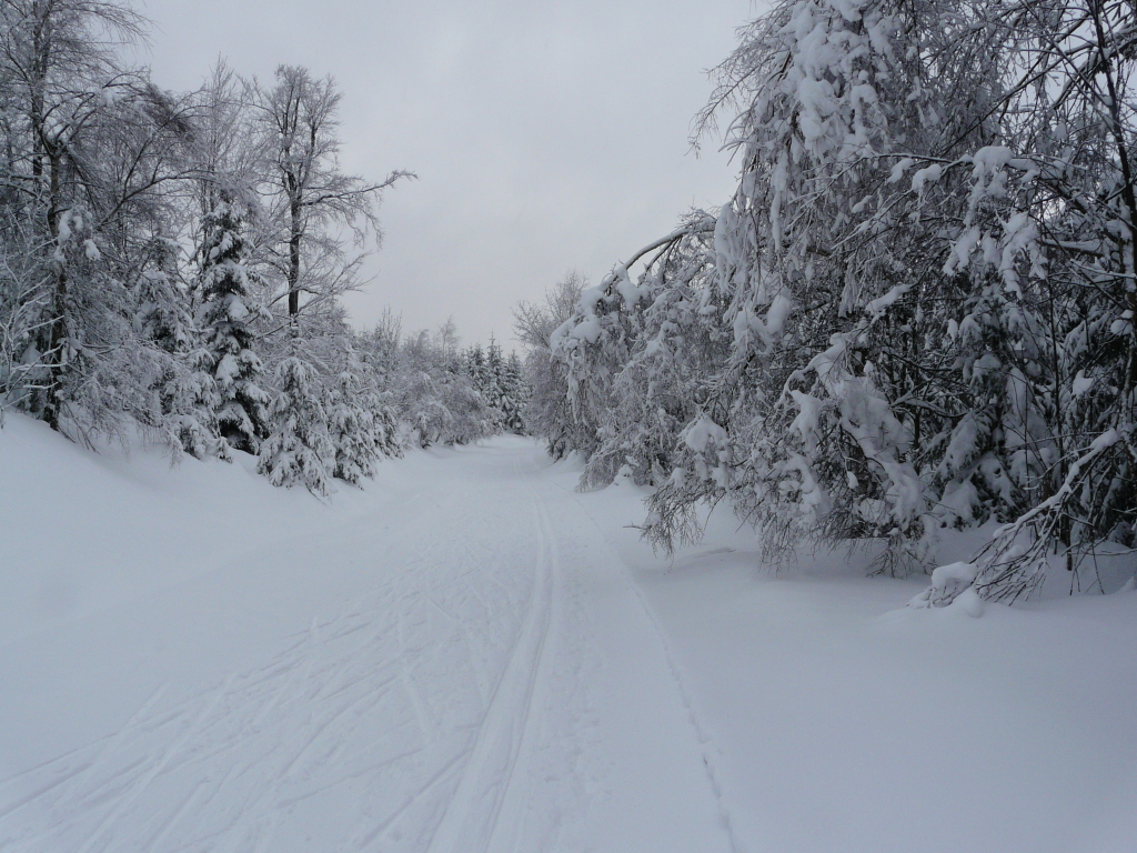 V sobotu napadne i okolo 20 cm sněhu
