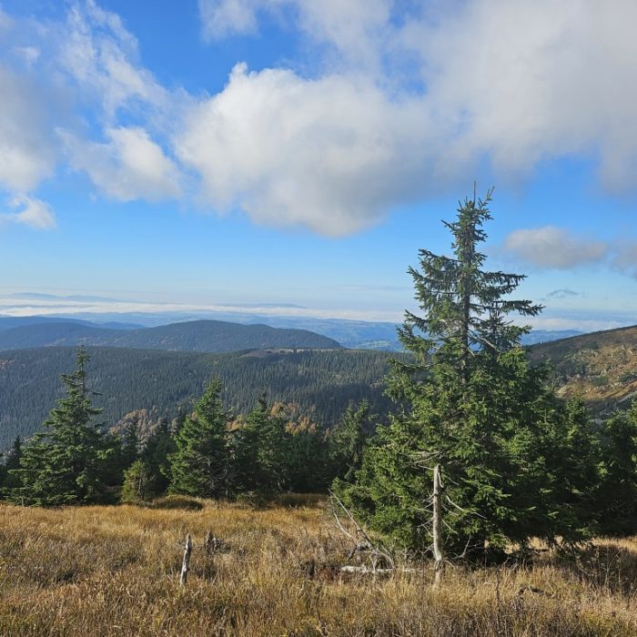 V pátek slunečno, teploty kolem 12 °C