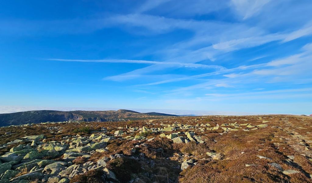V neděli na jihu Moravy až 20 °C a polojasno