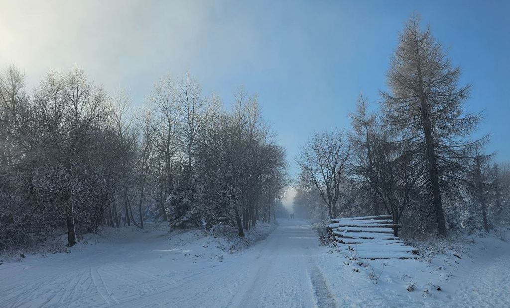 V pátek se znovu ochladí, teploty budou jen okolo 0 °C a čerstvý vítr